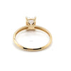 14CT YELLOW GOLD CUBIC ZIRCONIA SET IN RAISED SETTING DRESS RING