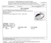 9ct WHITE GOLD SOLITAIRE SET RING TDW 0.20cts VAL $1399